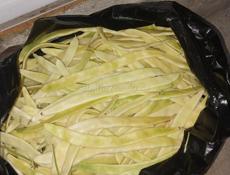 Фасоль стручковая 