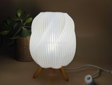 Изделия на 3 д принтере