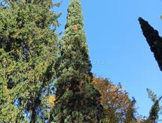 Золотой берег 25соток с документами. 