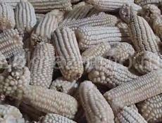 Местная кукуруза рушенная