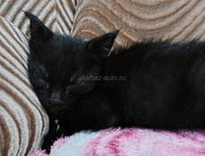 Мальчик , 2 месяца 