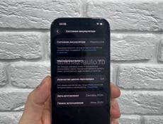 16 Pro Max 256gb🔋100%