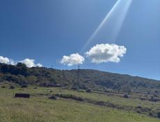 Очень срочно 🔥🔥🔥45 сот. 