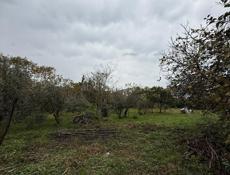 земельный участок в с. Хипста