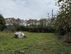 земельный участок в с. Хипста