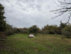 земельный участок в с. Хипста