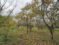 земельный участок в с. Хипста