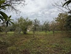 земельный участок в с. Хипста