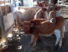 Продажа срочная 