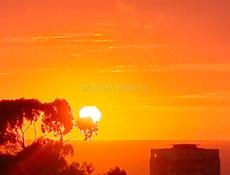 Продам квартиру 3-х комнатную в Цитрусе