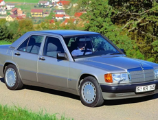 Лобовое стекло W190