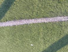 Ищу работу на сбор мандарин 