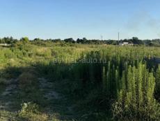 10 сот в г.Гагра 