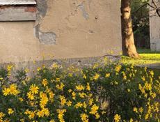 Продается квартира массив двух комнатная 9 этаж