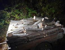 Дрова граб прицеп 8т любые размера с доставкой