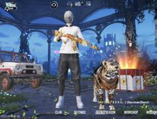 Продам либо обменяю ак в пабге