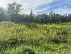  4 🍋 12 соток