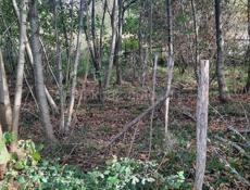 Продается земельный участок!