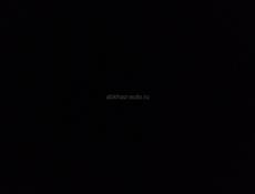 Продаю хурму