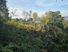 Срочно цена сниженна .