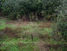 Продаю участок