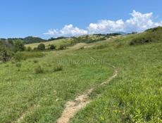 Участок цандрипш