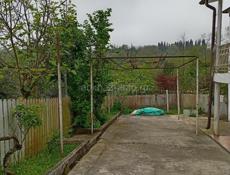 Дом заходи живи