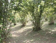 Дом с видом🔥 на Кавказский хребет