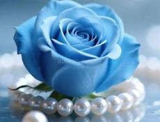 Карликовые кролики.