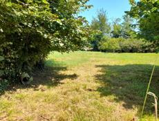 Участок в Бамборе