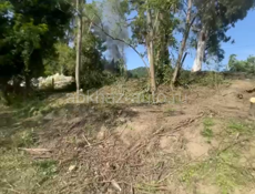 Рядом с пещерой 