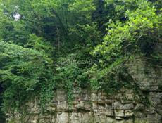 Ищу работу на зиму