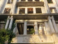     Сбор мандарин     Ищу работу