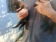 Отдам в добрые руки