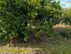 Продаётся дом.