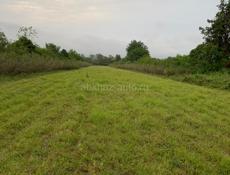 1 гк по дороге в Аэропорт срочно 