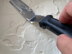 Пойдём на сбор мандаринов!