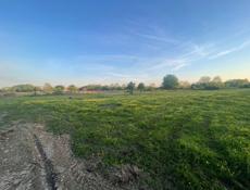 🌍 Участок в Бабушере 🏞️