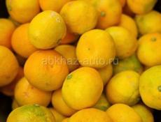 Ищу сборщиков мандарин 🍊 