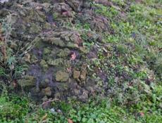 Продаётся навоз 80 кубов