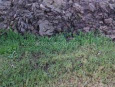 Продаётся навоз 80 кубов