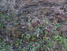 Продаётся навоз 80 кубов