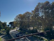 Сдается до лета