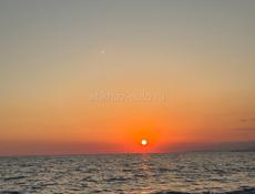 Нужны люди для сбора мандарин 