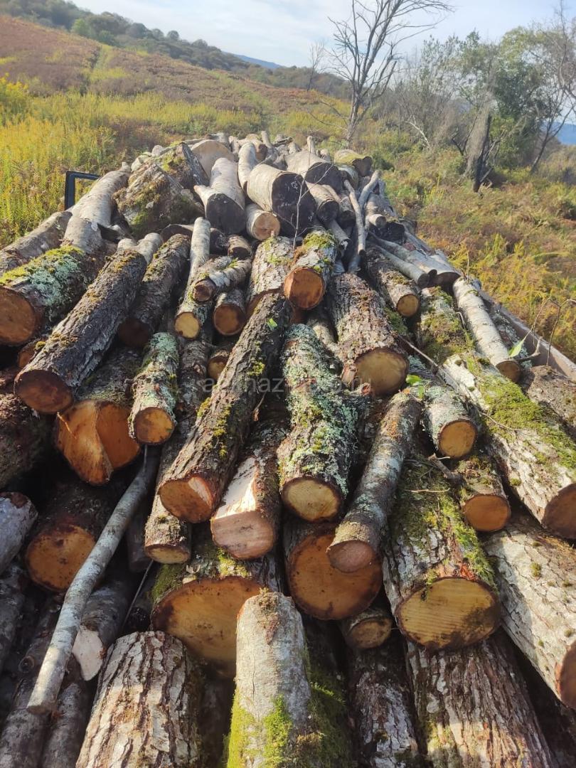 Продажа дров 