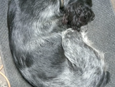 Кто потерял?)