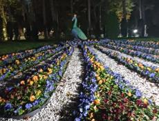 Экономист-бухгалтер