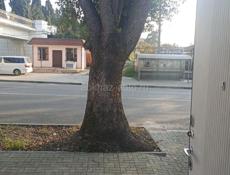 Сдам помещение