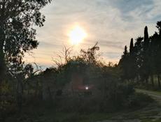 Mercedes-Benz 200-Series