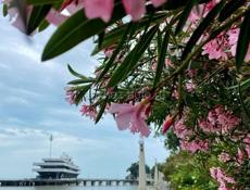 Сниму длительно . 